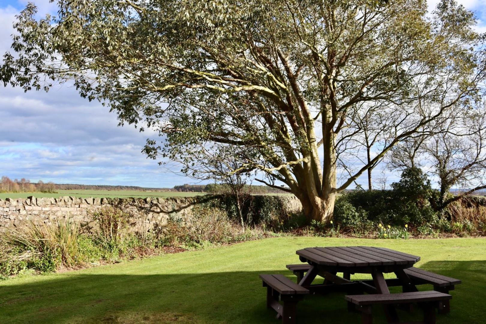 Vicarsford Farmhouse With Hot Tub Leuchars ภายนอก รูปภาพ